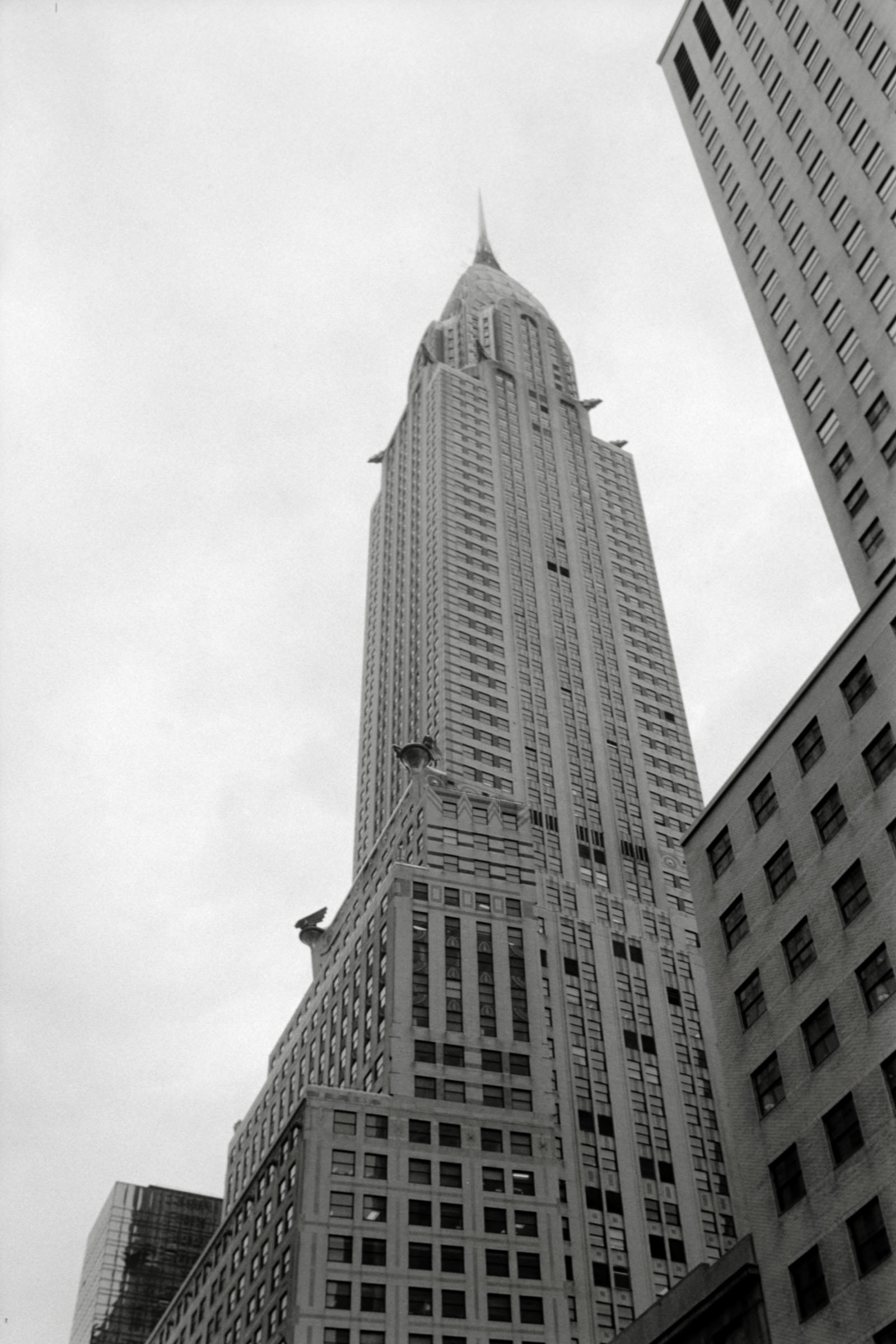 AHP F1995 04 005 sc240817 img01 NLP